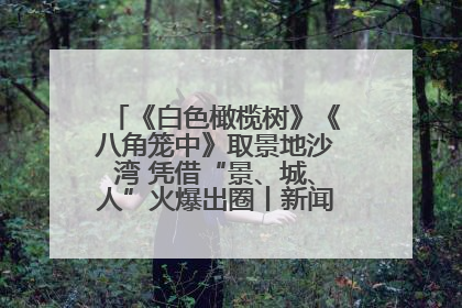 《白色橄榄树》《八角笼中》取景地沙湾 凭借“景、城、人”火爆出圈丨新闻发布最前线