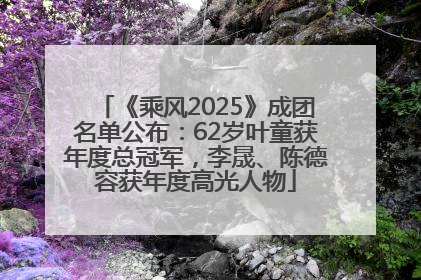 《乘风2025》成团名单公布：62岁叶童获年度总冠军，李晟、陈德容获年度高光人物