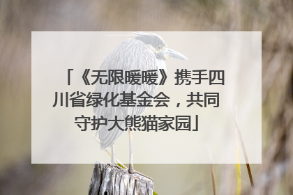 《无限暖暖》携手四川省绿化基金会，共同守护大熊猫家园