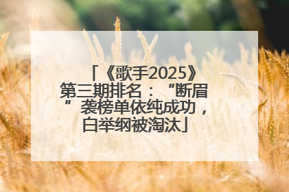 《歌手2025》第三期排名：“断眉”袭榜单依纯成功，白举纲被淘汰