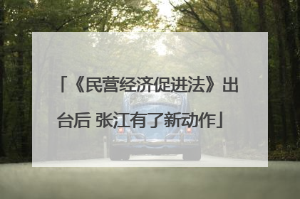 《民营经济促进法》出台后 张江有了新动作