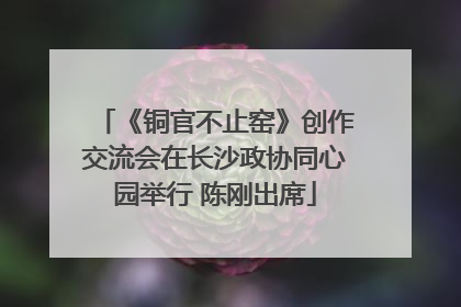 《铜官不止窑》创作交流会在长沙政协同心园举行 陈刚出席