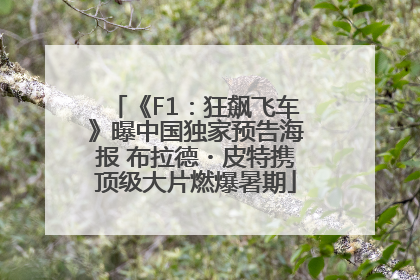 《F1：狂飙飞车》曝中国独家预告海报 布拉德・皮特携顶级大片燃爆暑期
