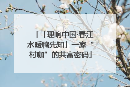 「理响中国·春江水暖鸭先知」一家“村咖”的共富密码