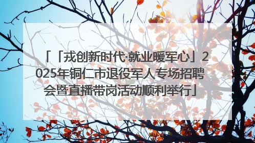 「戎创新时代·就业暖军心」2025年铜仁市退役军人专场招聘会暨直播带岗活动顺利举行