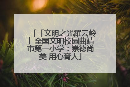 「文明之光耀云岭」全国文明校园曲靖市第一小学：崇德尚美 用心育人