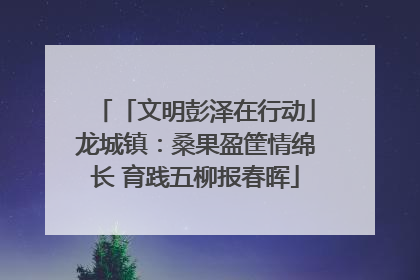 「文明彭泽在行动」龙城镇：桑果盈筐情绵长 育践五柳报春晖