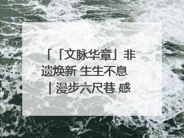 「文脉华章」非遗焕新 生生不息｜漫步六尺巷 感受礼让文化浸润的“巷”往生活