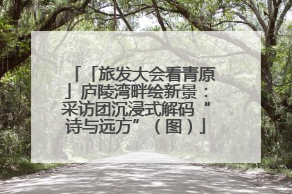 「旅发大会看青原」庐陵湾畔绘新景：采访团沉浸式解码“诗与远方”（图）