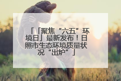 「聚焦“六五”环境日」最新发布!日照市生态环境质量状况“出炉”
