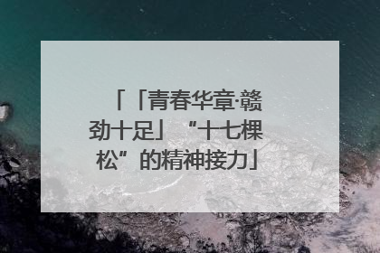 「青春华章·赣劲十足」“十七棵松”的精神接力