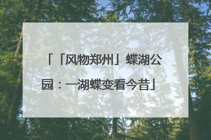 「风物郑州」蝶湖公园：一湖蝶变看今昔