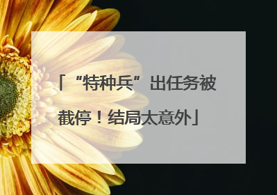“特种兵”出任务被截停！结局太意外
