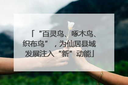 “百灵鸟、啄木鸟、织布鸟”，为仙居县域发展注入“新”动能