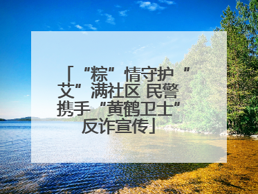 “粽”情守护“艾”满社区 民警携手“黄鹤卫士”反诈宣传