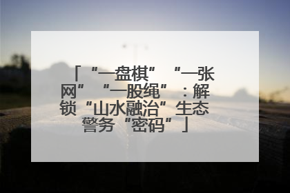 “一盘棋”“一张网”“一股绳”：解锁“山水融治”生态警务“密码”