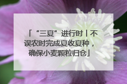 “三夏”进行时丨不误农时完成夏收夏种，确保小麦颗粒归仓