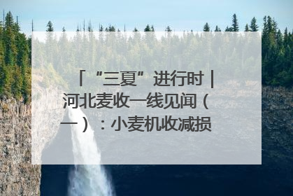 “三夏”进行时｜河北麦收一线见闻（一）：小麦机收减损“竞技” 农机高手麦田“过招”