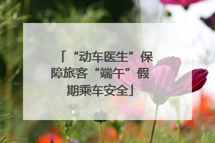 “动车医生”保障旅客“端午”假期乘车安全