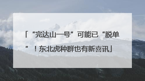 “完达山一号”可能已“脱单”！东北虎种群也有新喜讯