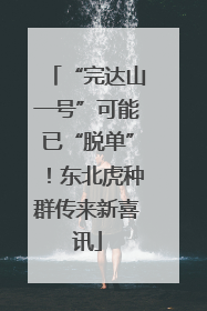 “完达山一号”可能已“脱单”！东北虎种群传来新喜讯