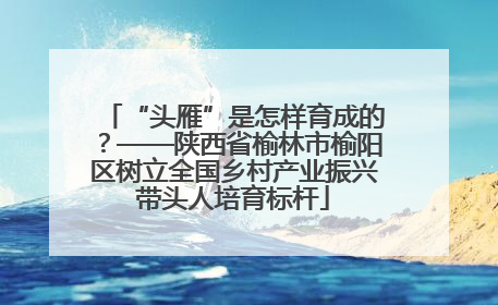 “头雁”是怎样育成的？——陕西省榆林市榆阳区树立全国乡村产业振兴带头人培育标杆
