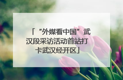 “外媒看中国”武汉段采访活动首站打卡武汉经开区