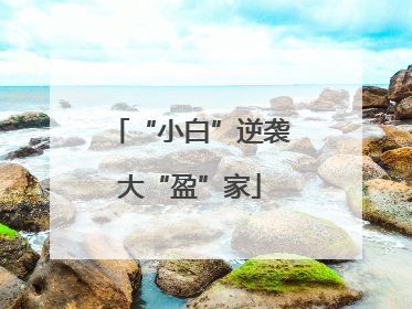 “小白”逆袭大“盈”家