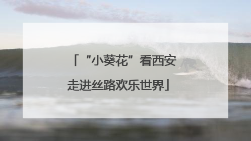 “小葵花”看西安走进丝路欢乐世界