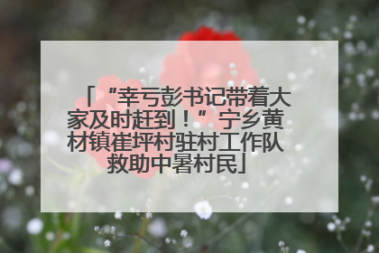 “幸亏彭书记带着大家及时赶到！”宁乡黄材镇崔坪村驻村工作队救助中暑村民