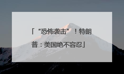 “恐怖袭击”！特朗普：美国绝不容忍
