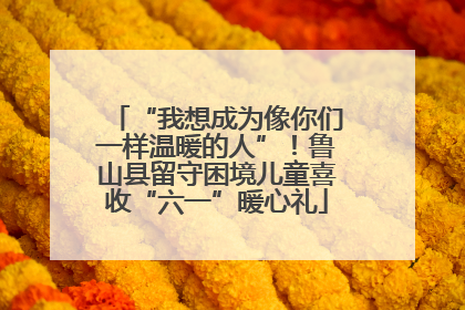 “我想成为像你们一样温暖的人”！鲁山县留守困境儿童喜收“六一”暖心礼