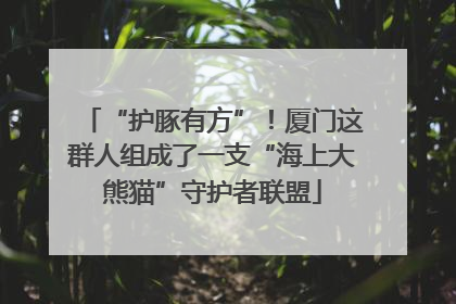 “护豚有方”！厦门这群人组成了一支“海上大熊猫”守护者联盟
