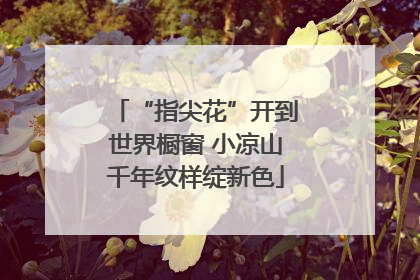 “指尖花”开到世界橱窗 小凉山千年纹样绽新色