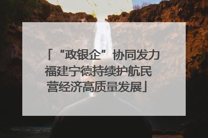 “政银企”协同发力 福建宁德持续护航民营经济高质量发展