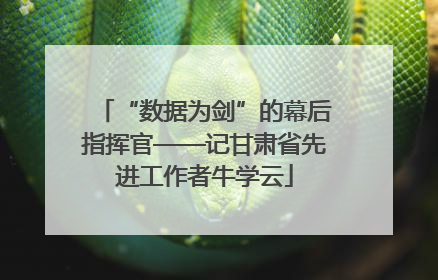 “数据为剑”的幕后指挥官——记甘肃省先进工作者牛学云