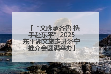 “文脉承齐鲁 携手赴东平”2025东平湖文旅走进济宁推介会圆满举办