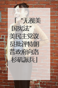 “无视美国宪法” 美民主党议员批评特朗普政府向洛杉矶派兵