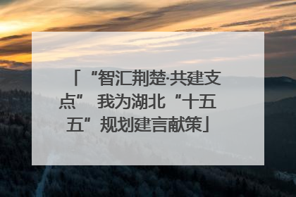 “智汇荆楚·共建支点” 我为湖北“十五五”规划建言献策