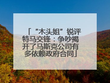 “木头姐”锐评特马交锋：争吵揭开了马斯克公司有多依赖政府合同