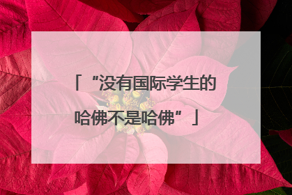 “没有国际学生的哈佛不是哈佛”