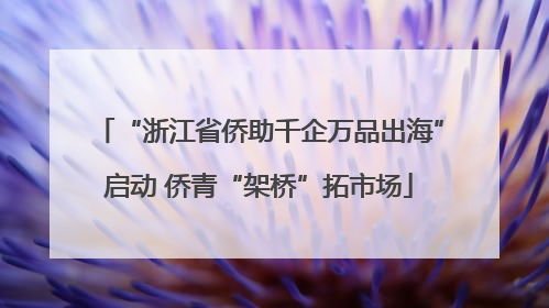 “浙江省侨助千企万品出海”启动 侨青“架桥”拓市场