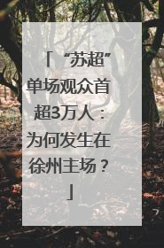 “苏超”单场观众首超3万人：为何发生在徐州主场？