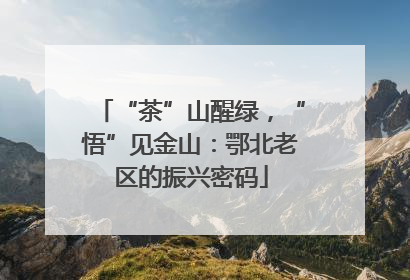“茶”山醒绿，“悟”见金山：鄂北老区的振兴密码