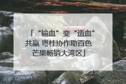 “输血”变“造血”共赢 粤桂协作助百色芒果畅销大湾区