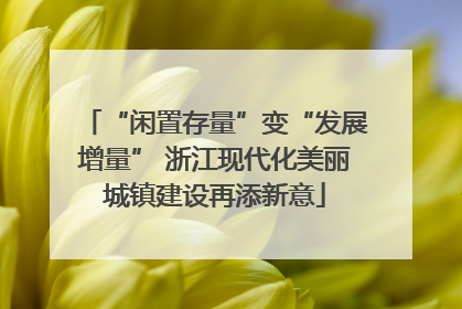 “闲置存量”变“发展增量” 浙江现代化美丽城镇建设再添新意