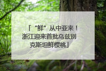 “鲜”从中亚来！浙江迎来首批乌兹别克斯坦鲜樱桃