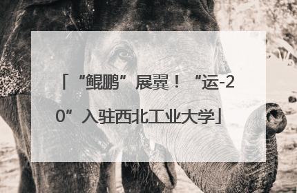 “鲲鹏”展翼！“运-20”入驻西北工业大学