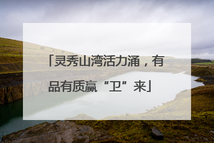 灵秀山湾活力涌，有品有质赢“卫”来