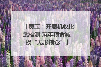 灵宝：开展机收比武检测 筑牢粮食减损“无形粮仓”